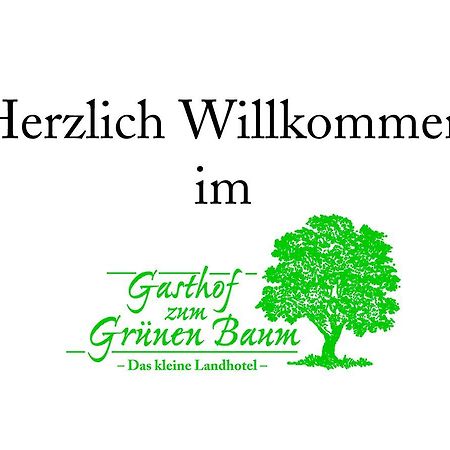 Landhotel Gruener Baum Westendorf  Dış mekan fotoğraf